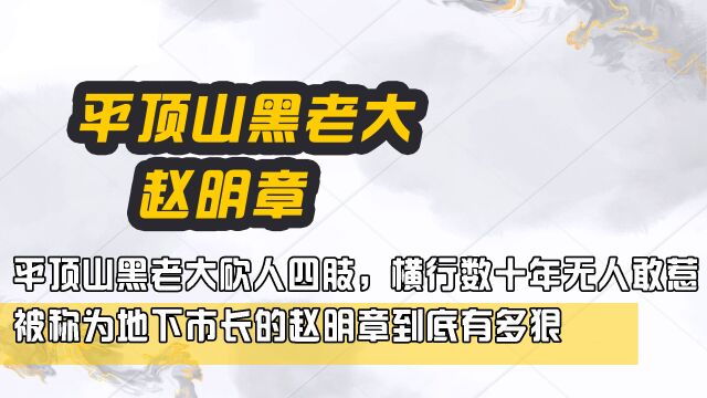 平顶山黑老大砍人四肢,横行数十年无人敢惹,被称为地下市长的赵明章到底有多狠