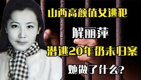 [图]山西高颜值女逃犯解丽萍，潜逃20年仍未归案，她做了什么？