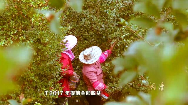 闽山闽水物华新ⷩž凡十年 | 闽清:宜居宜业山水新城