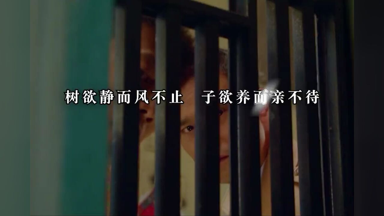 “树欲静而风不止,子欲养而亲不待”_腾讯视频