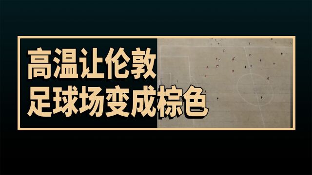 老外看英国创纪录的高温,伦敦足球场变成棕色,外国网友评论