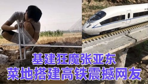 基建狂魔张亚东：河南小伙菜地建高铁微缩列车穿山跨桥震撼网友