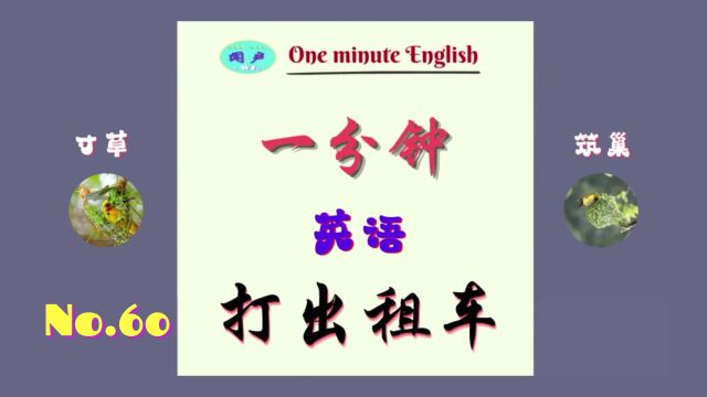 一分钟英语D60 打出租车  英语学习 Learn English  英语日常会话英语口