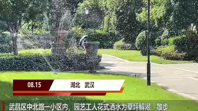 小区花式洒水:花草解渴居民享清凉