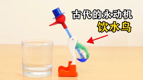 神奇的饮水鸟，为什么只需要一杯水，就可以不停摆动？