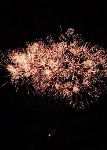 96发东信烟花—锦冠菊花    竖频