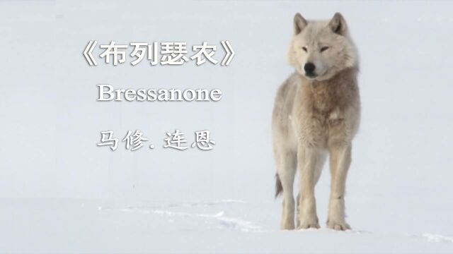 影视原声《布列瑟农》Bressanone马修.连恩 世界上最伤感的英文歌【中英字幕】