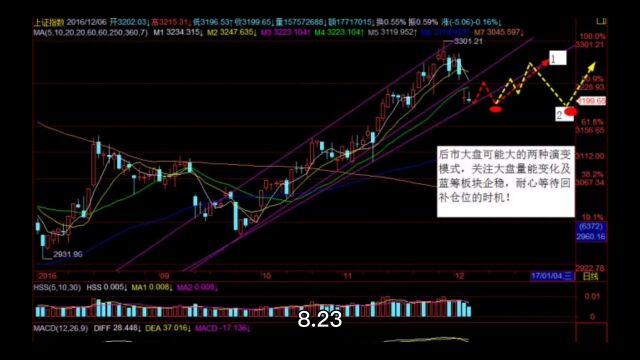 今日操作8.23