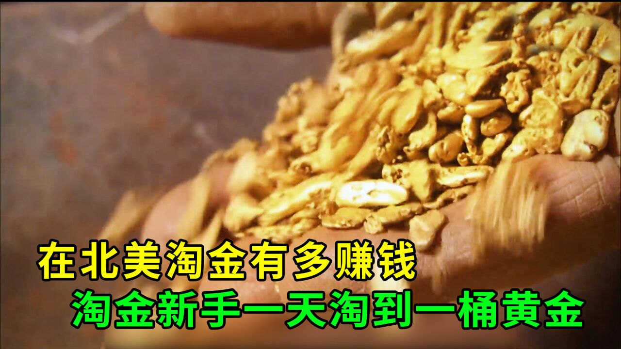 淘金热在一次席卷全球，淘金新手一天怒赚18万美刀黄金，纪录片_高清1080P在线观看平台_腾讯视频