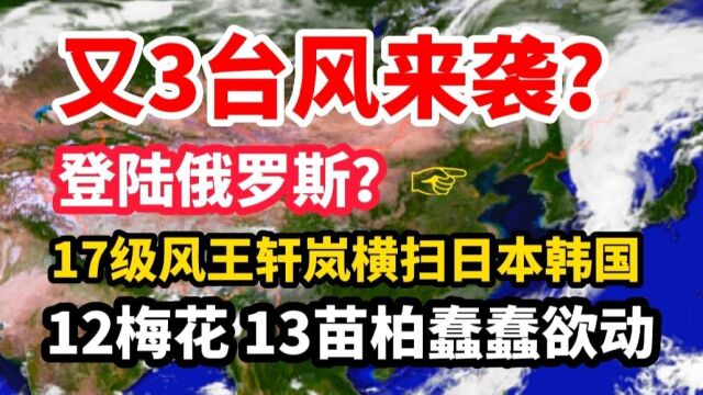 又3台风来袭?11号轩岚诺横扫日韩 俄罗斯,12梅花 13苗柏蠢蠢欲动!