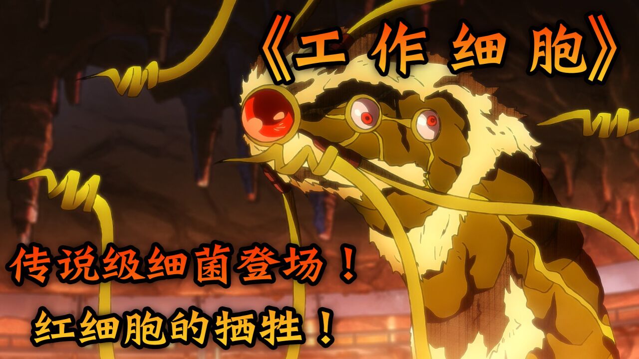 《工作细胞》传说级细菌登场!红细胞的牺牲!