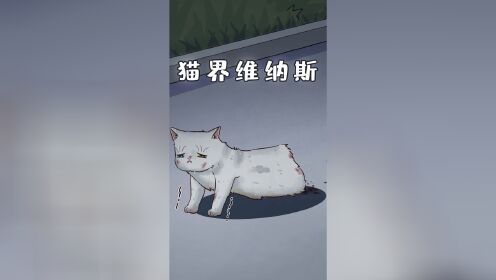 [图]流浪猫被砍去双腿仍坚强生存，最终美成猫界的维纳斯