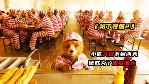 《帕丁顿熊2》小熊含冤入狱，为了翻案他想尽办法越狱！