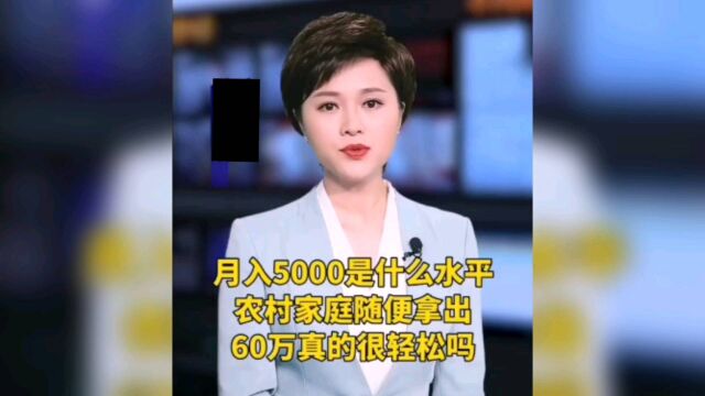 月入5000是什么水平农村家庭随便拿出60万真的轻松吗