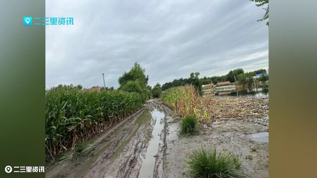 梨树县金山乡道路烂出行难追踪:已暂时平整,村民盼修水泥路