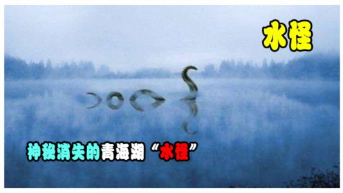 28年仅出现过3次！神秘消失的青海湖“水怪”，是何生物仍是谜