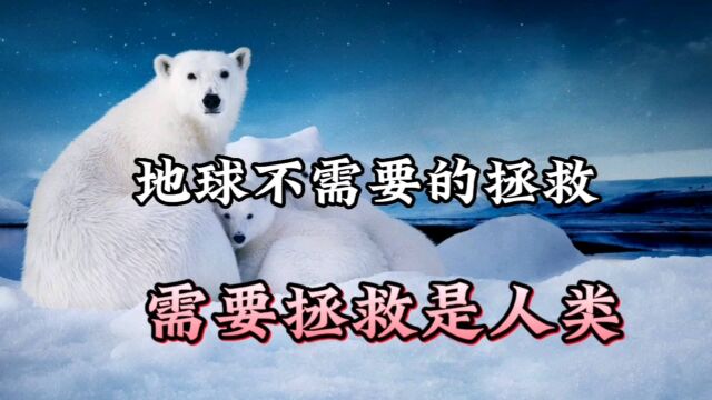 南极冰盖正在快速融化,那么能够带来哪些影响?