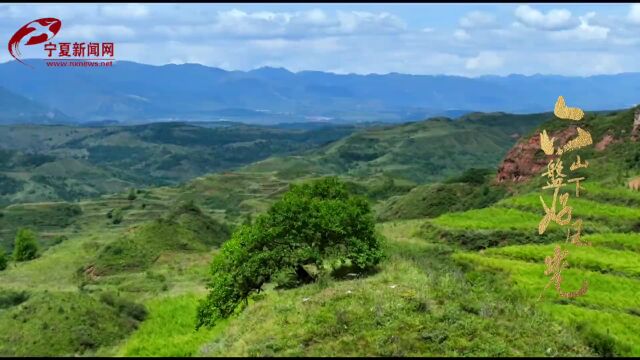 短视频|六盘山下好风光——美丽的燕家山