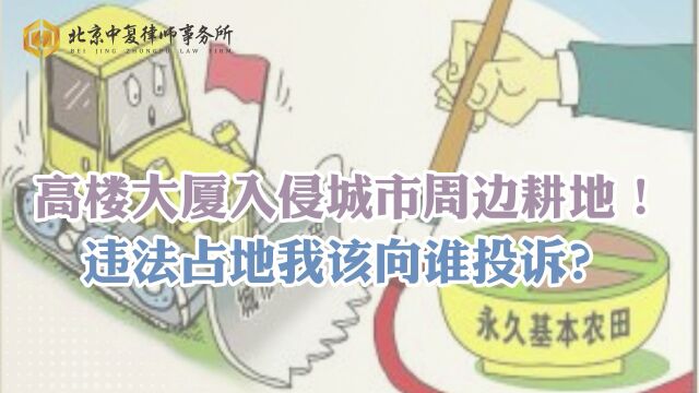 高楼大厦入侵城市周边耕地!违法占地,我该向谁投诉?