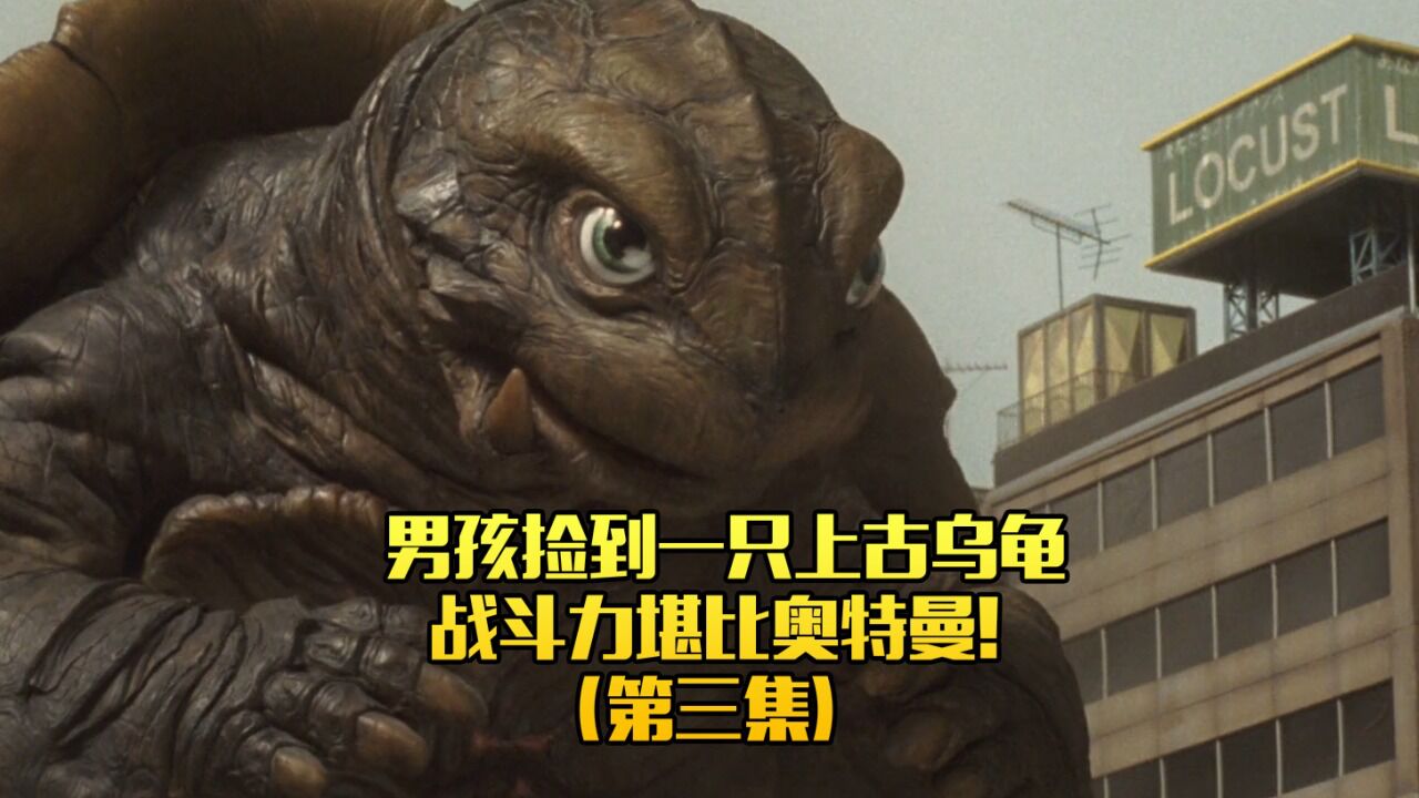 一只大乌龟被人类抓住！_高清1080P在线观看平台_腾讯视频