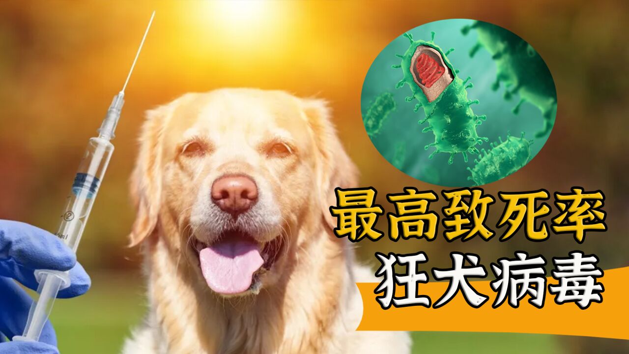 第14集 狂犬病毒_高清1080p在線觀看平臺_騰訊視頻