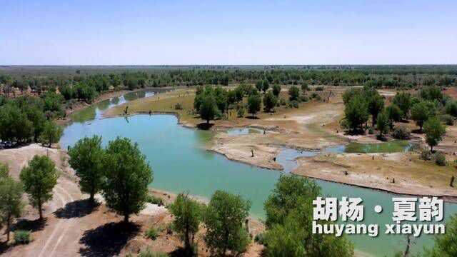 阿瓦提位于天山南麓塔克拉玛干大沙漠北缘,阿克苏河、叶尔羌河、和田河在这里交汇形成塔里木河源头.素有“全国优质棉花生产基地”