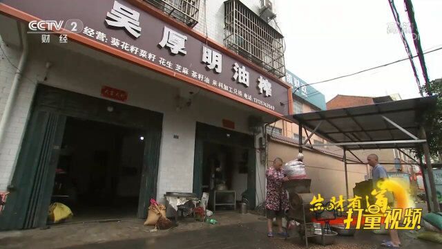 吴厚明手工榨油晶莹剔透,茶籽油年收入可达3万多元