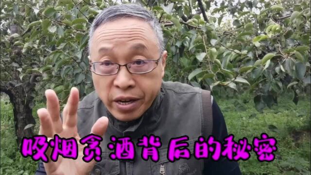 揭密生活现象的心理机制:离不开烟酒背后的秘密……