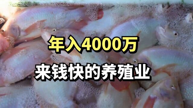 小伙养的鱼不一般,年销售额高达4千万元,他是怎么做到的