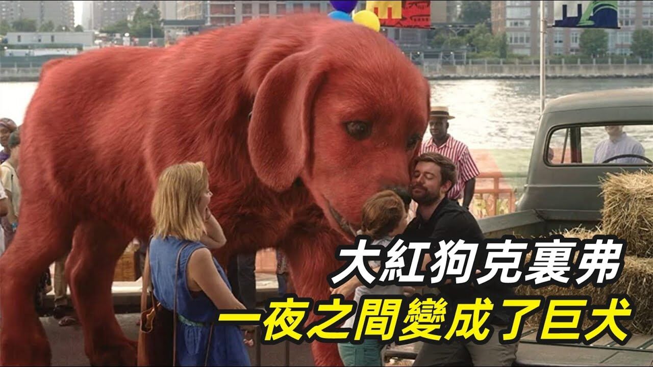 经典高分科幻电影推荐:女孩捡到一只流浪狗,一夜之间变成了巨犬,巨可爱心都被融化了_腾讯视频