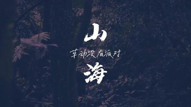 这才是真正的《山海》,震撼到花儿都可以谢了#创作灵感 #中国摇滚纪录 #草东没有派对 #摇滚乐 #一首歌一个故事