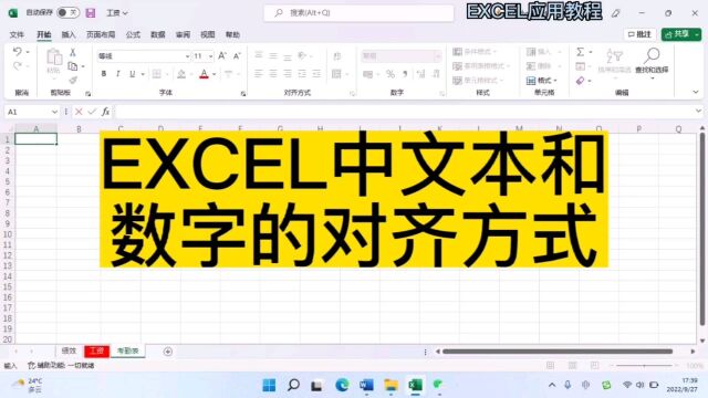 EXCEL中文本和数字的对齐方式