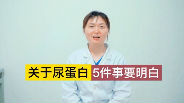 尿蛋白加号越多病情越严重?关于尿蛋白的5件事你要明白