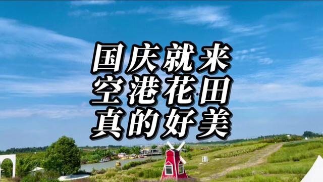 秋天来空港花田原来可以这么美这个国庆就来空港花田吧,真的是太热闹了#追飞机的花田奇遇 #国庆到空港花田 #国庆超会玩指南