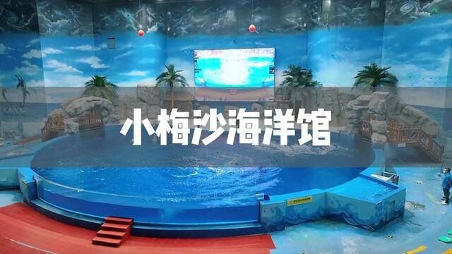 每天七场海洋表演,这份荆州小梅沙宝藏攻略收好了!#100个国庆必去打卡地 #国庆超会玩指南#趁放假去荆州小梅沙吧