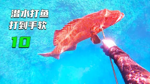 深海捕50斤红斑霸王鱼,捕猎过程解压又刺激!