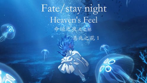 Fate stay night Heaven's Feel 命运之夜天之杯：噩兆之花