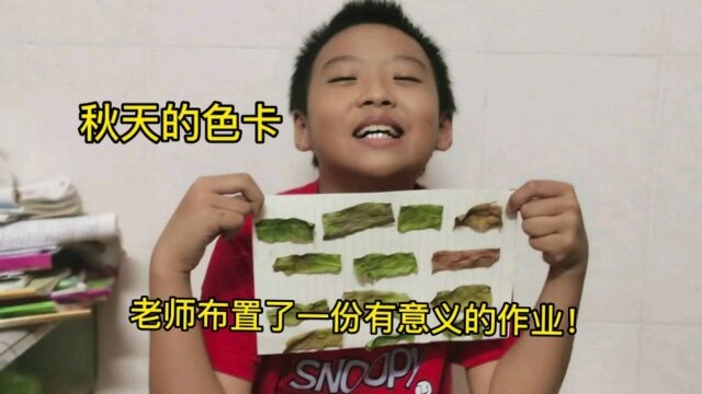 惠州小学生做了一份有意义的作业