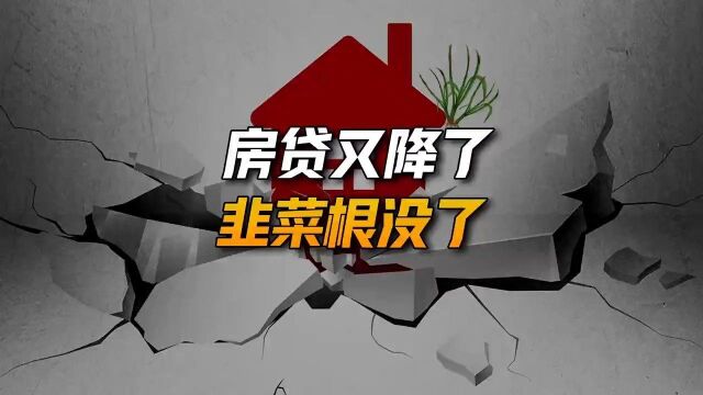 房贷利率即将跌破4%,为什么我要劝你不要着急去买房?#求一个神评加持