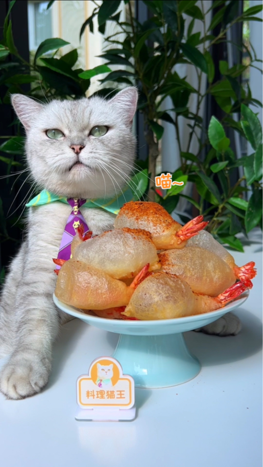 猫王:瞬间膨胀的气泡虾原来是这么做!_腾讯视频
