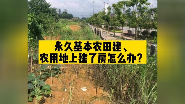 北京凯诺拆迁律师:私自占用永久基本农田或农用地会有这几种危险