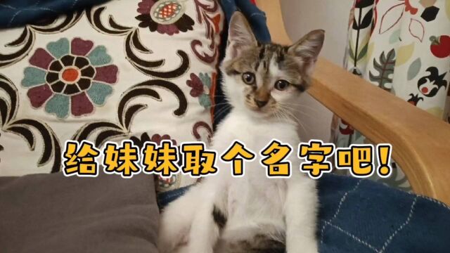 给妹妹取个名字吧!大家说说起个什么名字好呢?