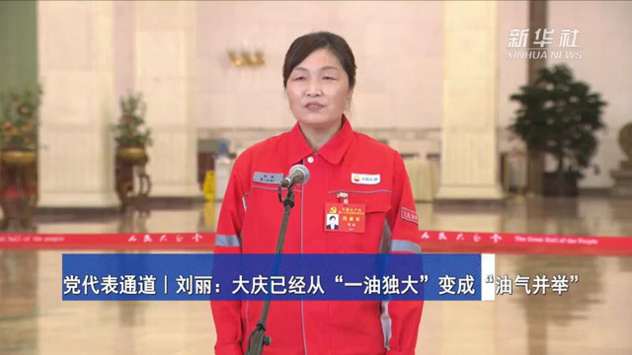 党代表通道｜刘丽：大庆已经从“一油独大”变成“油气并举”_高清1080P在线观看平台_腾讯视频