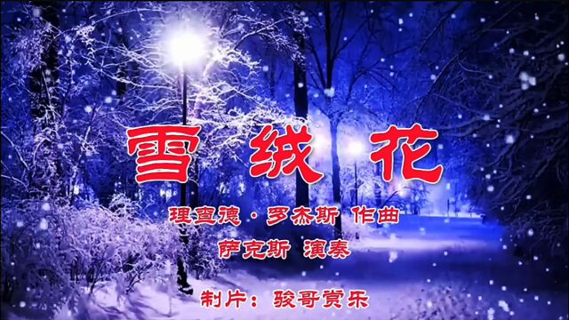 萨克斯演奏的经典歌曲:《雪绒花》,雪似花朵深情开放!