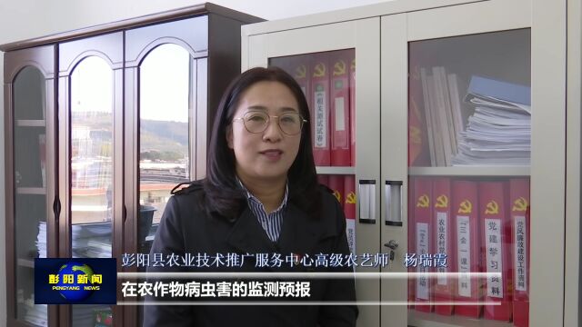 【奋进新征程 人才话发展】杨瑞霞:践初心履使命 甘做田间地头“植保人”