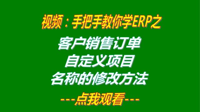 客户销售订单自定义项目改名称在工厂生产管理ERP软件系统中