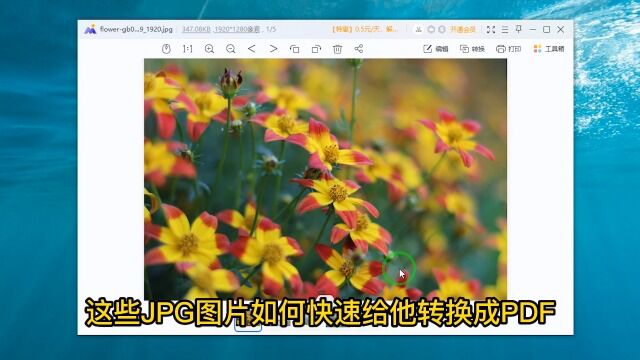 JPG图片如何转换成PDF?这招格式转换快学起来mp4