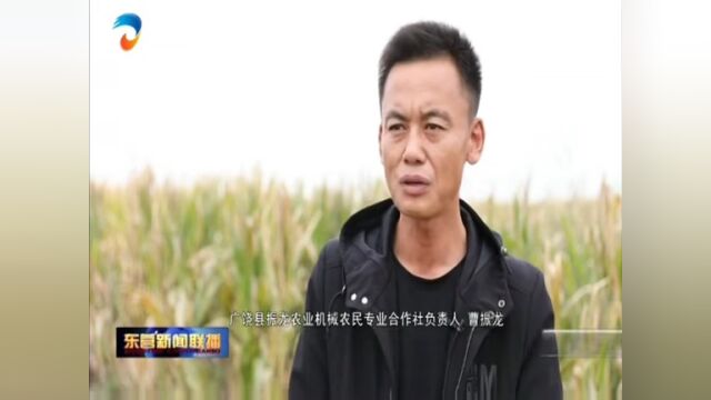 东营:秋种面积超过166万亩 三秋生产基本结束