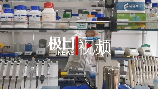 【视频】湖北科学家带队全国寻宝,建国家植保微生物种质资源库