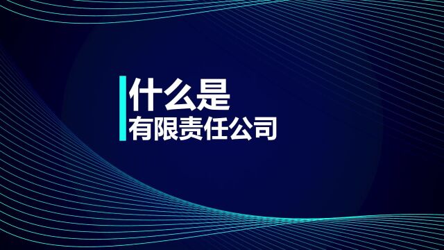 中级会计职称知识点:什么是有限责任公司